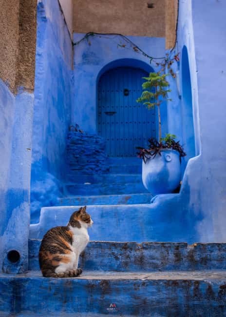 image n.20 of Explore chefchaouen like a local activity in Chefchaouen, uploaded by supplier