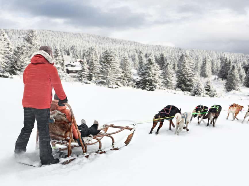 image n.2 of 4hr Dog Sledding Trip on Finnmarksvidda activity in Alta, uploaded by supplier