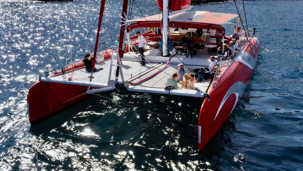 imagen n.º 7 de Marsella : Crucero en Catamarán por las Calanques con Comida y Vino actividad en Sur de Francia, subida por el proveedor