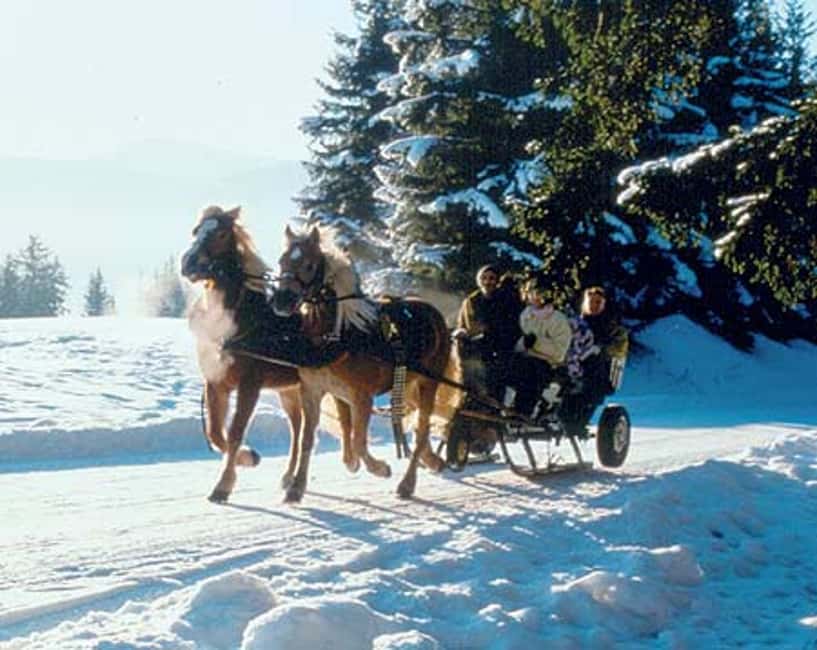 image n.2 of From Salzburg: Romantic Sleigh Ride through the Countryside activity in Upper Austria, uploaded by supplier