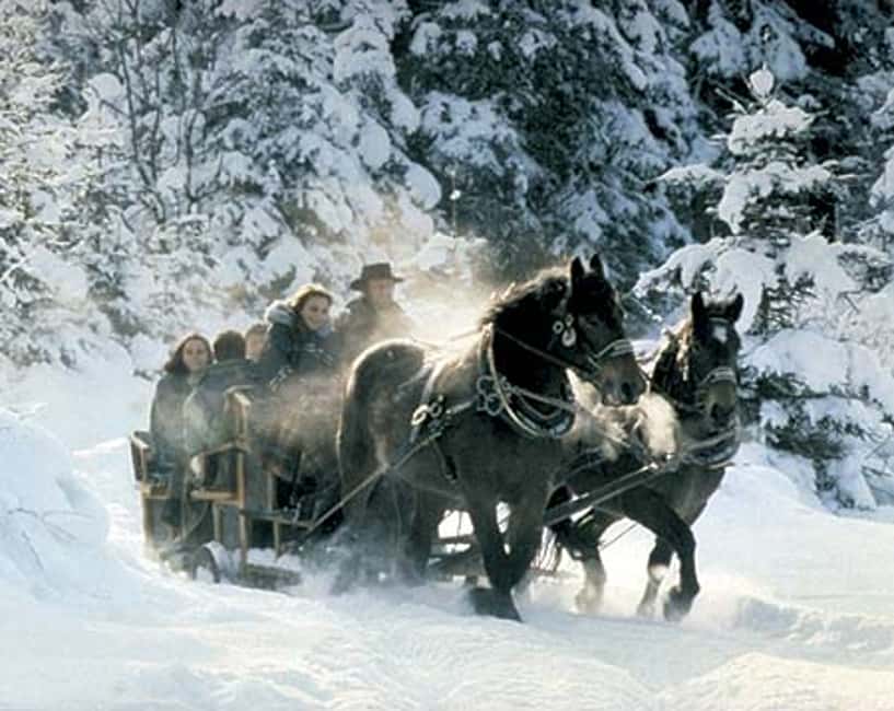 image n.3 of From Salzburg: Romantic Sleigh Ride through the Countryside activity in Upper Austria, uploaded by supplier