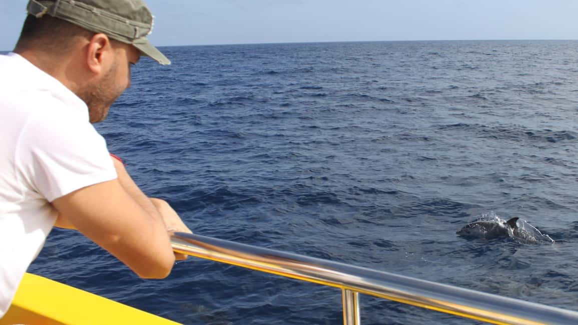 image n.4 of Lanzarote: 2.5-Hour Sunset and Dolphins Cruise activity in Puerto del Carmen, uploaded by supplier