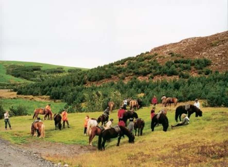 bild nr.3 av Från Reykjavik: Dagsutflykt med hästridning och Gyllene cirkeln aktivitet i Södra Island, uppladdad av arrangören