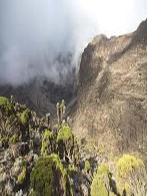 image n.4 of #.1-Day Tour: Kilimanjaro Lemosho Route From Arusha/Moshi activity in Kilimanjaro, uploaded by supplier