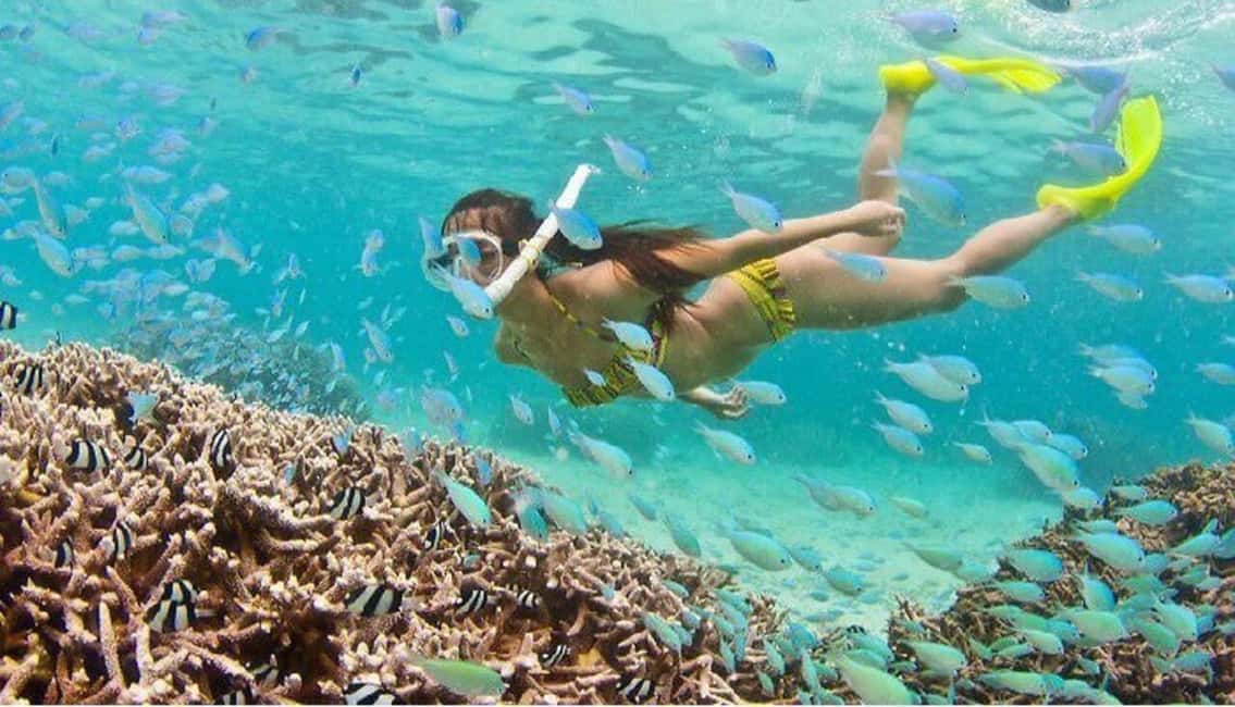 image n.18 of Da Nang/Hoi An:Explore Cham Island and Snorkeling tour 1 Day activity in Hoi An, uploaded by supplier