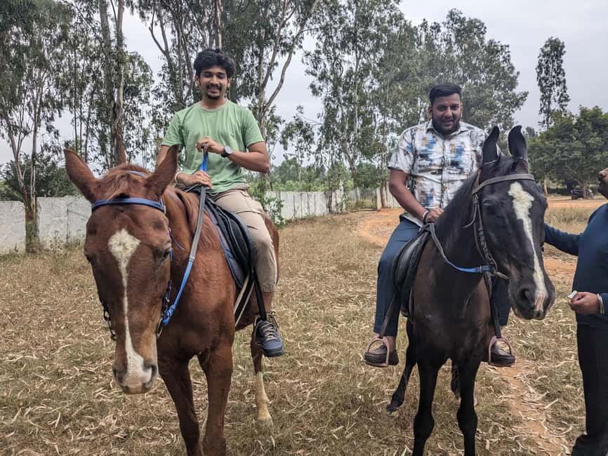 image n.8 of Bangalore: Horse Riding Safari Tour activity in Bangalore, uploaded by supplier
