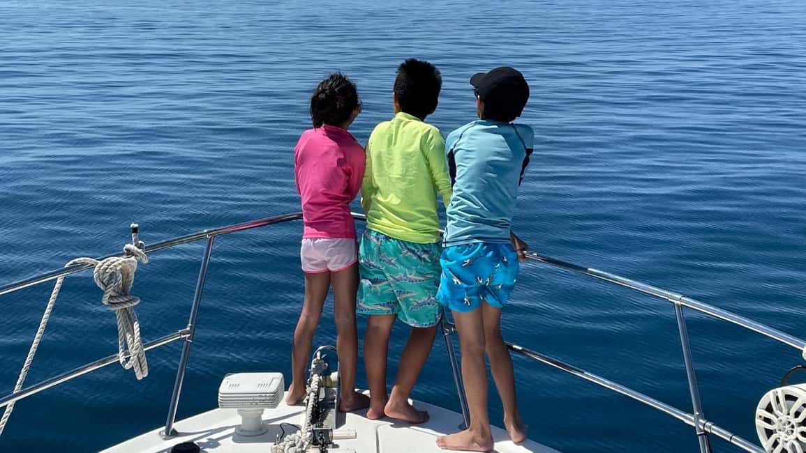 image n.10 of La Paz: Espiritu Santo Island and Balandra Bay Day Cruise activity in Baja California Sur, uploaded by supplier
