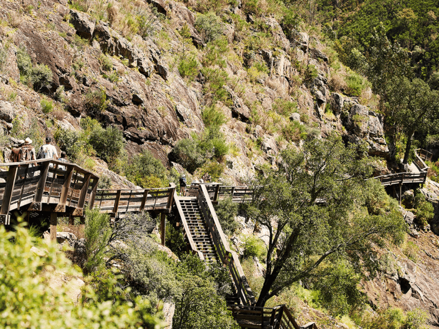 image n.14 of From Porto: Arouca 516 and Paiva Walkways Guided Day Trip activity in Arouca, uploaded by supplier