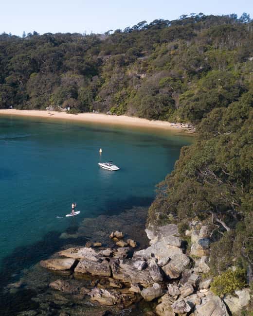image n.6 of Manly Stand Up Paddle Board Hire activity in Sydney, uploaded by supplier