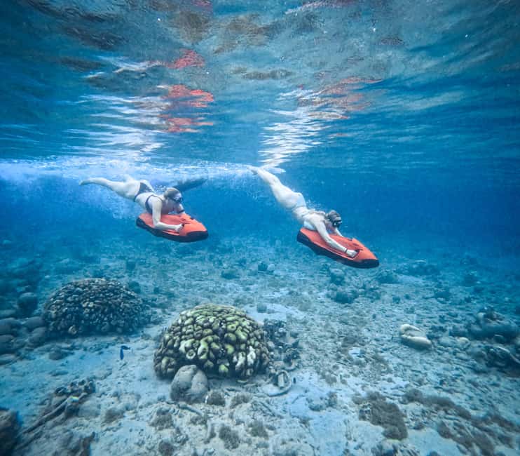 afbeelding n.15 van Curaçao: Playa Piskado Seabob Avontuur (Zeeschildpadden) activiteit in Curaçao, geüpload door aanbieder