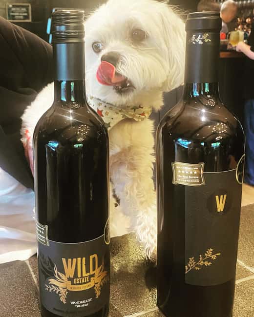 image n.22 of From Auckland: Waiheke Island Wineries' Tour activity in Auckland, uploaded by supplier