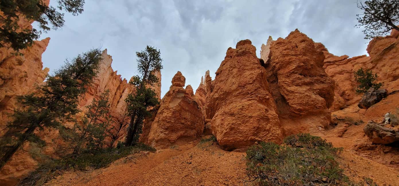image n.58 of Small Group Tour Zion & Bryce Canyon National from Las Vegas activity in Utah, uploaded by supplier