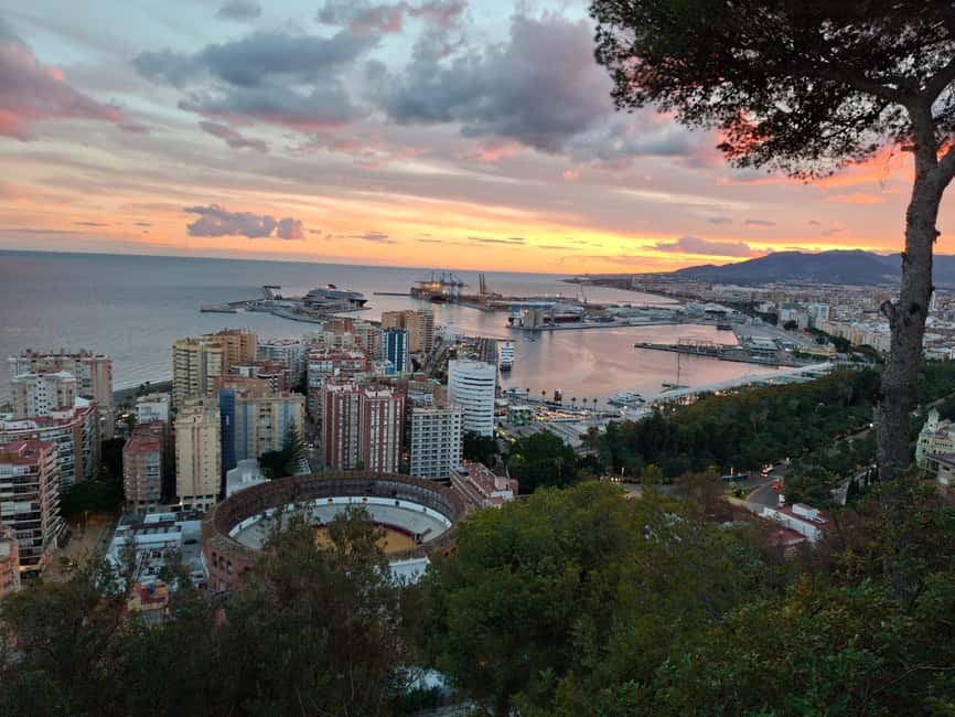 bild nr.11 av Upptäck Málaga på 2 timmar: Avslappnande rundtur med elbil aktivitet i Málaga, uppladdad av arrangören