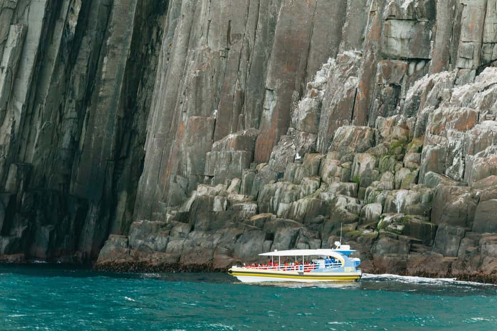 image n.11 of From Port Arthur: Tasman Island Wilderness Cruise activity in Port Arthur, uploaded by supplier