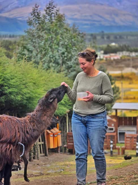 Immagine nº 9 di Vulcano Cotopaxi: escursione a cavallo di un'intera giornata per principianti attività a Cantone di Latacunga, caricata dal fornitore