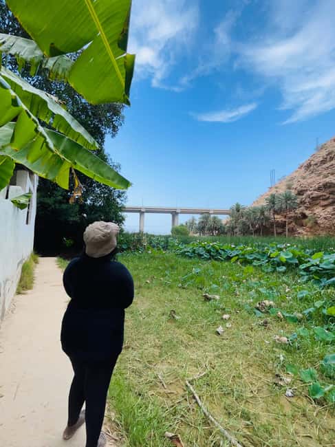 Immagine nº 16 di Muscat: escursione di un'intera giornata a Wadi Shab, grotta romantica e sinkhole attività a Regione al-Sharqiyya, caricata dal fornitore