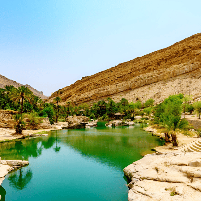 Immagine nº 3 di Muscat: tour di un giorno nel deserto di Wahiba Sands e Wadi Bani Khalid attività a Regione al-Sharqiyya, caricata dal fornitore