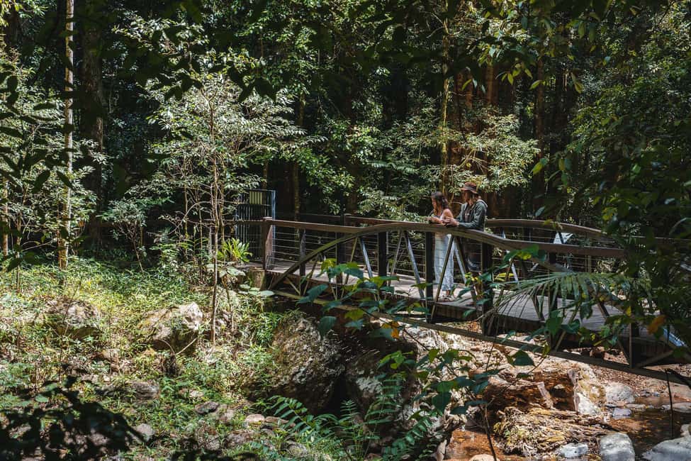 image n.2 of Brisbane: Rainforests, Waterfalls and Glow Worm Cave Tour activity in Gold Coast, uploaded by supplier