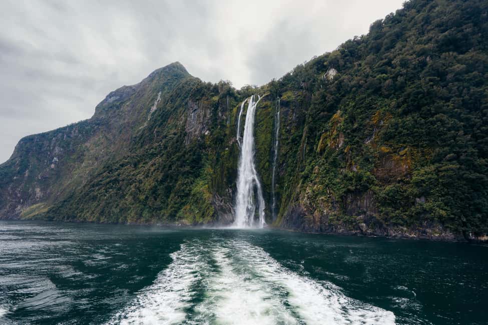 image n.14 of Queenstown: Milford Sound Coach & Cruise Full-Day Trip activity in South Island, uploaded by supplier