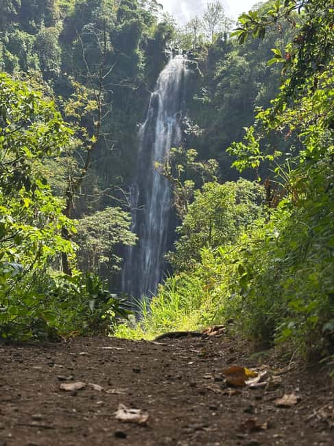 image n.42 of Arusha: Day Trip City,Materuni Waterfall,Coffee & Hot Spring activity in Moshi, uploaded by supplier