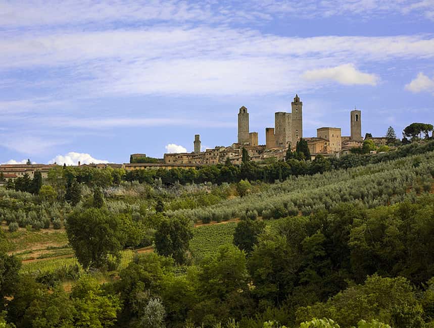 Immagine nº 3 di MERAVIGLIOSA TOSCANA: Tour dei vini di Siena, San Gimignano e del Chianti attività a Firenze, caricata dal fornitore