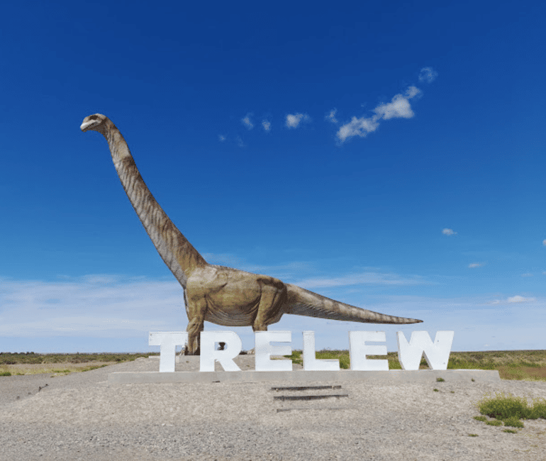 Bild Nr. 1 von Tal + Paläontologisches Museum für Kreuzfahrtpassagiere Aktivität in Chubut Provinz, hochgeladen vom Anbieter