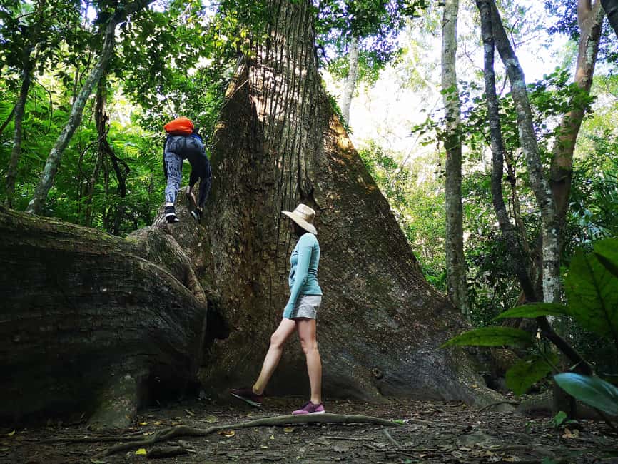 image n.4 of Tikal Sunrise, Archeological focus and Wildlife Spotting activity in Flores, Guatemala, uploaded by supplier