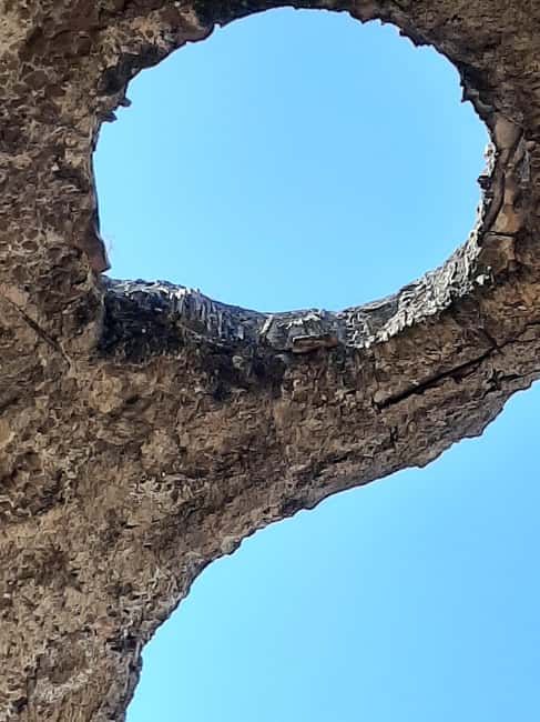 Immagine nº 10 di Da Roma: tour guidato di un giorno ai Giardini di Tivoli e alla Villa Adriana attività a Tivoli, Lazio, caricata dal fornitore