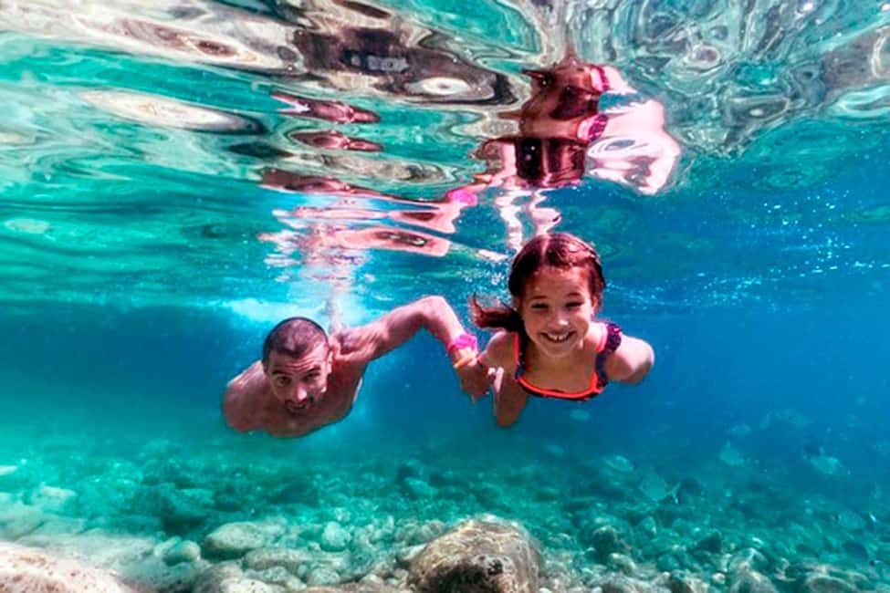 image n.17 of Pula: National Park Brijuni Island Visit & Dolphin Cruise activity in Pula, uploaded by supplier
