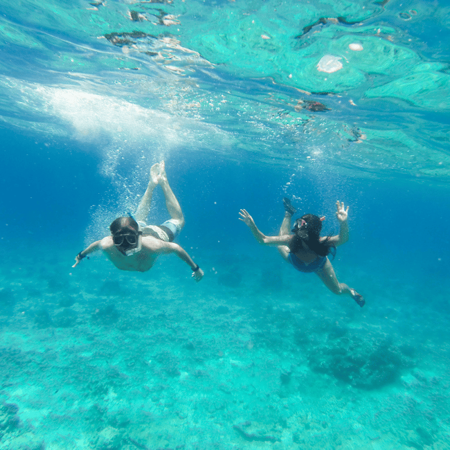 imagem n.7 de Cebu: Excursão aos tubarões-baleia, ao banco de areia de Sumilon e às cataratas de Tumalog atividade em Oslob, carregada pelo fornecedor