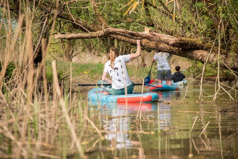 imagen n.º 9 de Biesbosch Alquiler de Kayak con Mapa de la Ruta y Chaleco Salvavidas actividad en Dordrecht, subida por el proveedor