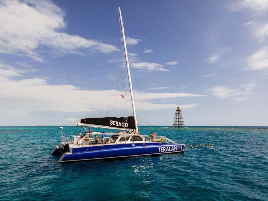 imagen n.º 7 de Cayo Hueso Snorkel en catamarán con marisco hervido y barra libre actividad en Cayo Hueso, subida por el proveedor