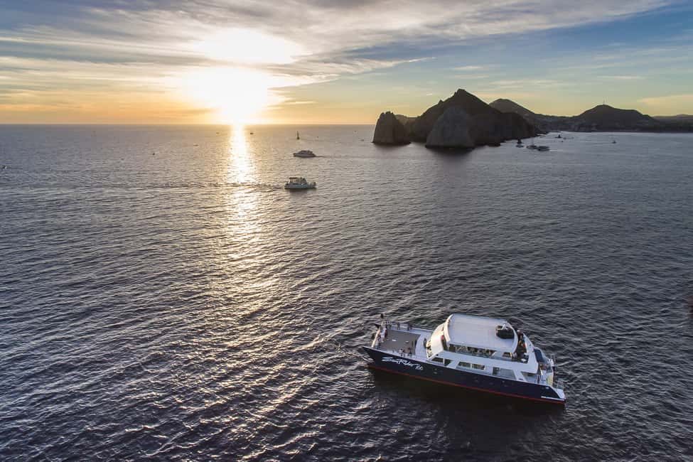 image n.8 of Cabo San Lucas: Sunset Dinner Cruise activity in Cabo San Lucas, uploaded by supplier