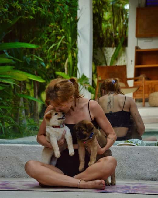 Obraz nr 4 z atrakcji Bali: Zajęcia jogi dla szczeniąt w Canggu i Ubud z orzeźwiającymi napojami w Kuta, przesłany przez organizatora
