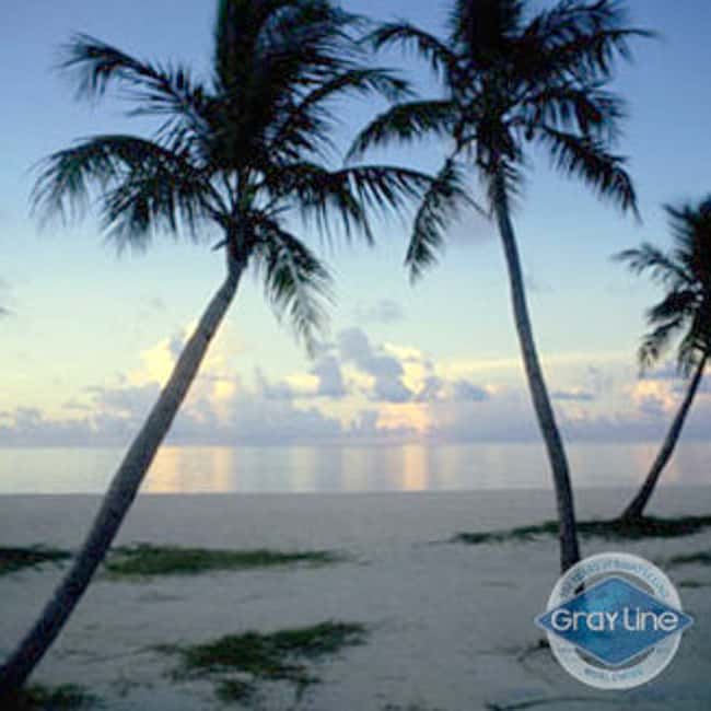 image n.4 of Fort Lauderdale: Key West Day Trip with Optional Activities activity in Fort Lauderdale, uploaded by supplier