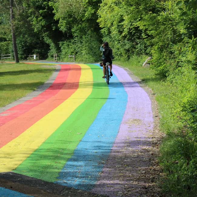 image n.12 of Toronto Waterfront and Islands Guided Bicycle Tour activity in Toronto, uploaded by supplier