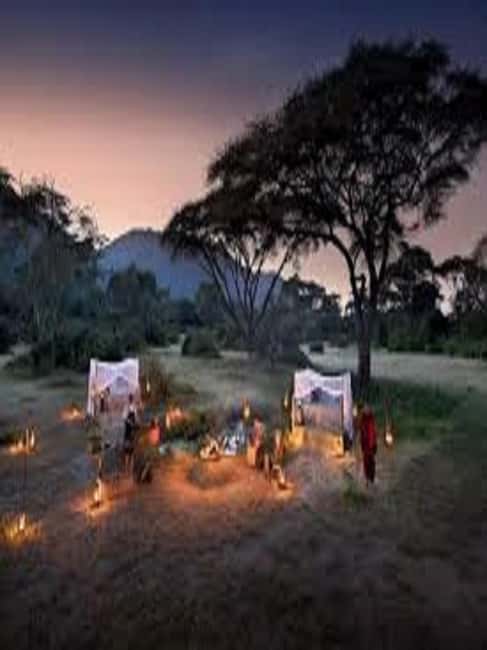 Image N°9 de Voyage d'une journée en Tanzanie - Safari de grande envergure - Aventures de faune et de flore activité à Région d'Arusha, publiée par le prestataire