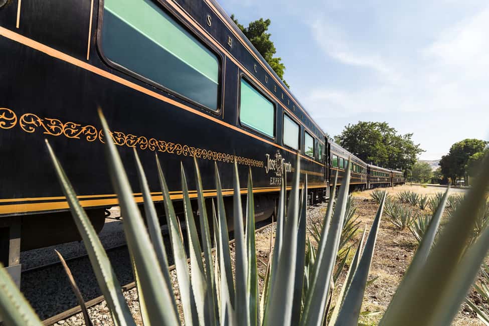 image n.1 of From Guadalajara: La Rojeña Distillery & Jose Cuervo Train activity in Tequila, uploaded by supplier