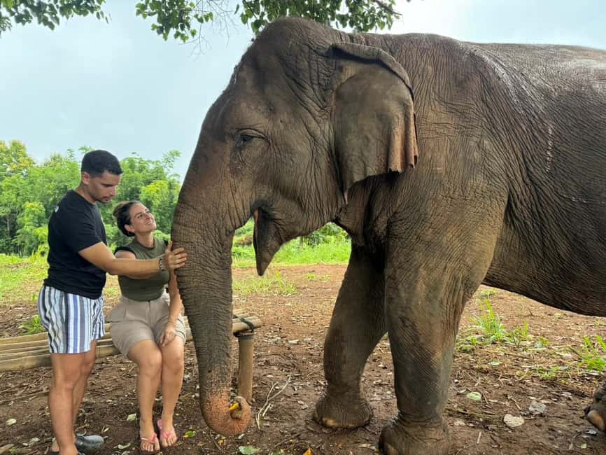 image n.48 of Chiang Mai: Elephant Sanctuary & Waterfall Group Tour activity in Chiang Mai, uploaded by supplier