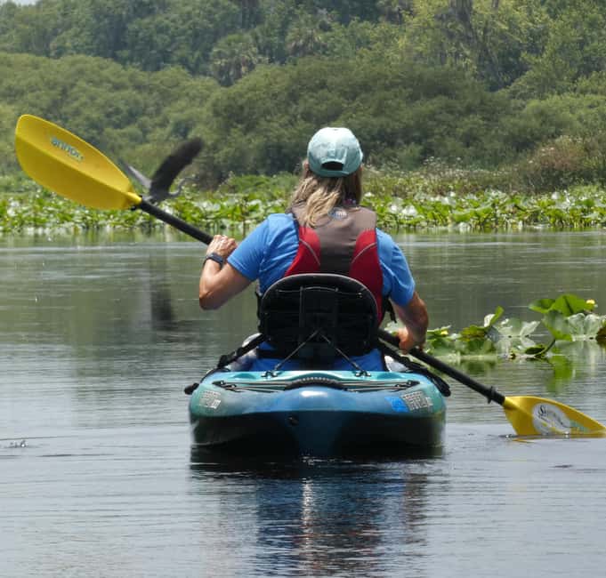image n.6 of Orlando: Small Group Scenic Wekiva River Kayak Tour activity in Florida, uploaded by supplier