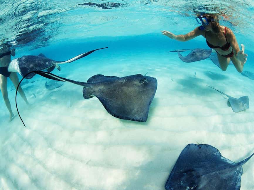image n.3 of From Riviera Maya: Xcaret Park Plus, the complete experience activity in Playa del Carmen, uploaded by supplier