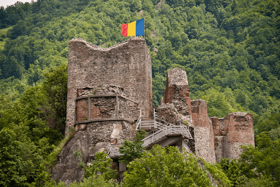 image n.7 of Bucharest: Bear Watching Tour and Top Gear Road Day Trip activity in Câmpulung, uploaded by supplier