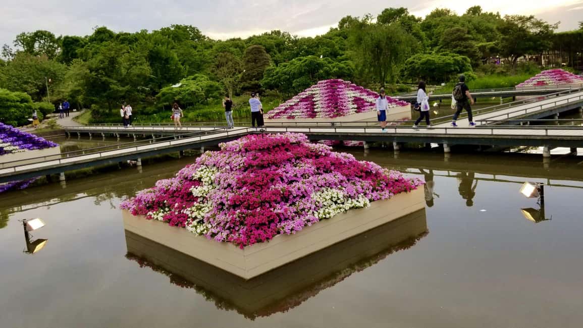 Immagine nº 4 di Da Tokyo: tour privato Nikko Nature & Culture Escape attività a Nikkō, caricata dal fornitore