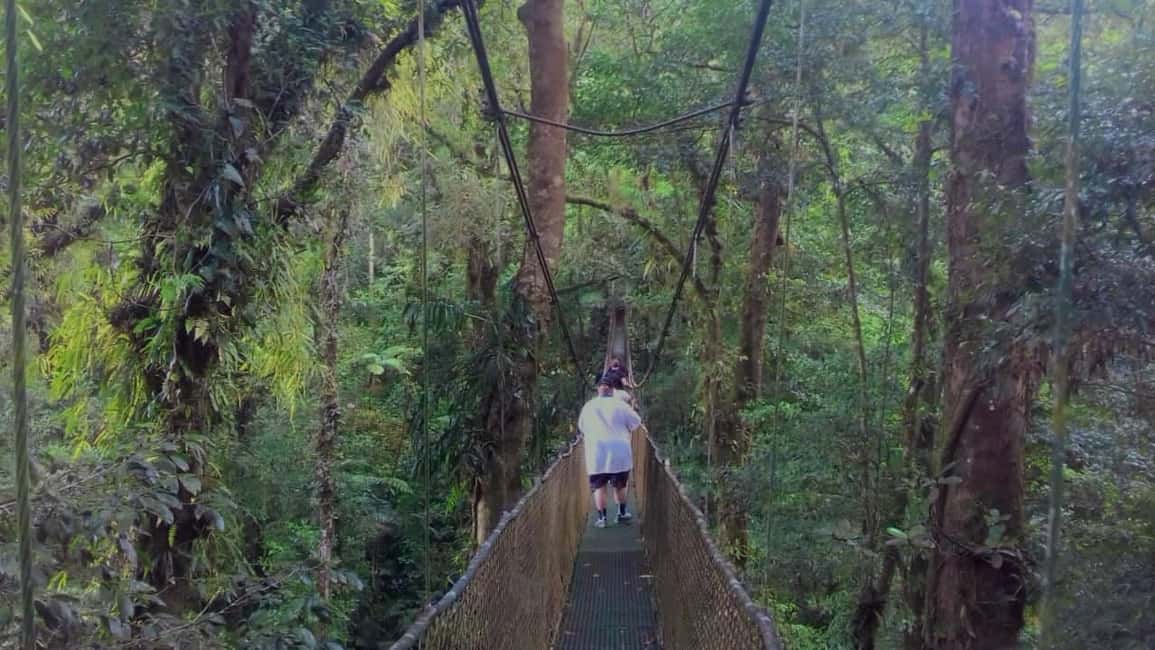 Immagine nº 2 di Guanacaste: gita di un giorno alla foresta pluviale, ai bradipi e alla natura con pranzo attività a Alajuela, caricata dal fornitore