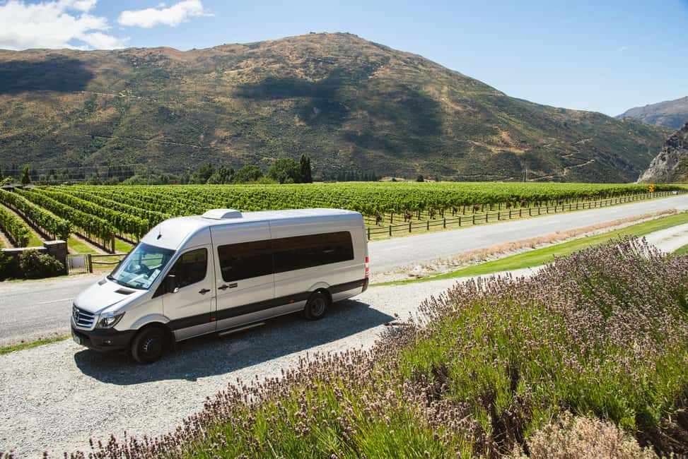 image n.5 of Queenstown: Twilight Wine and Craft Beer Tour activity in Gibbston, uploaded by supplier