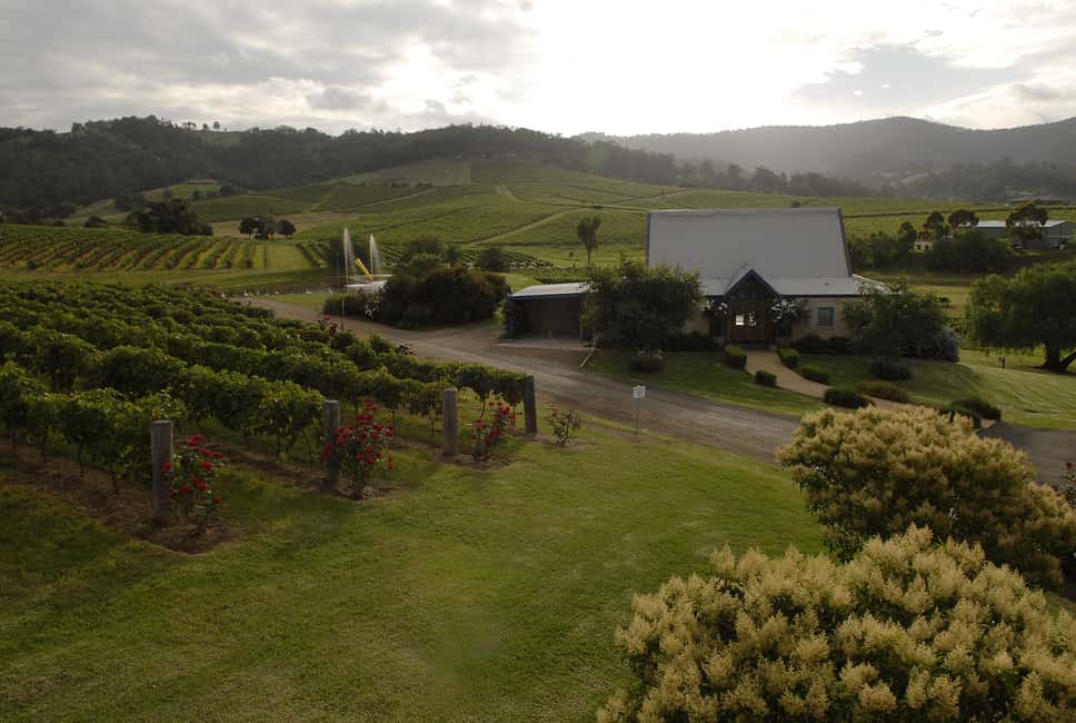 image n.8 of From Sydney: Hunter Valley Wine Tour with Cheese Tasting activity in Sydney, uploaded by supplier