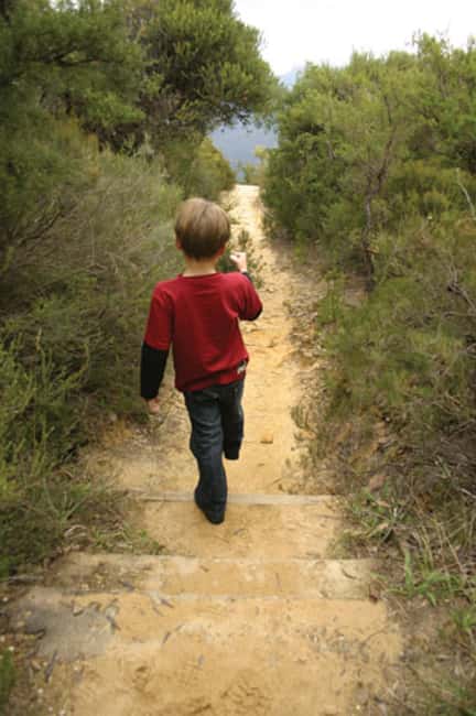 image n.4 of From Sydney: Boutique Uncharted Blue Mountains Tour activity in Sydney, uploaded by supplier