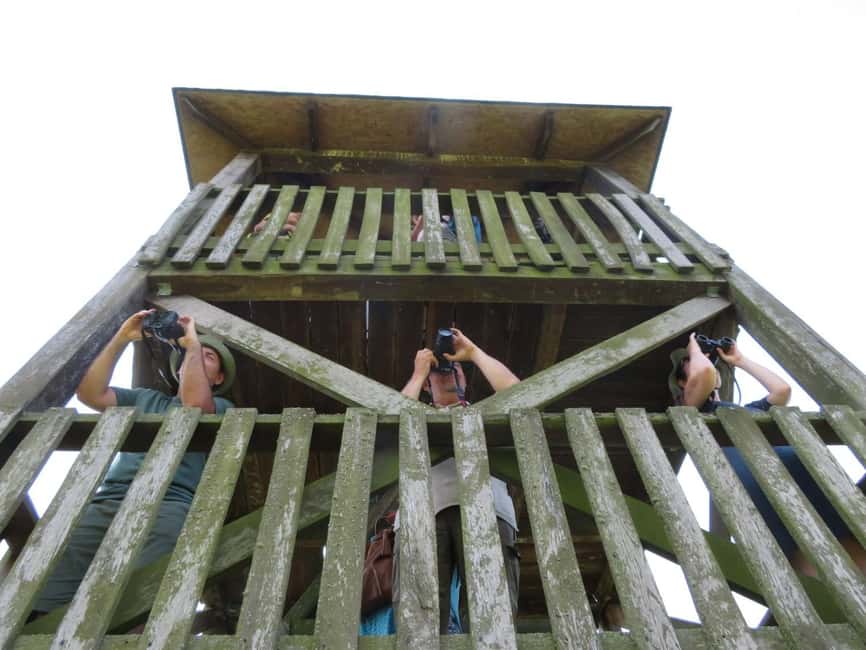image n.4 of Lake Tisza: Boat trip in the Bird Paradise activity in Mezőkövesd, uploaded by supplier