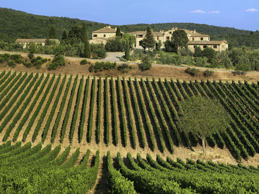 Immagine nº 1 di Da Firenze: Chianti, Montalcino e Montepulciano - Minivan attività a Firenze, caricata dal fornitore