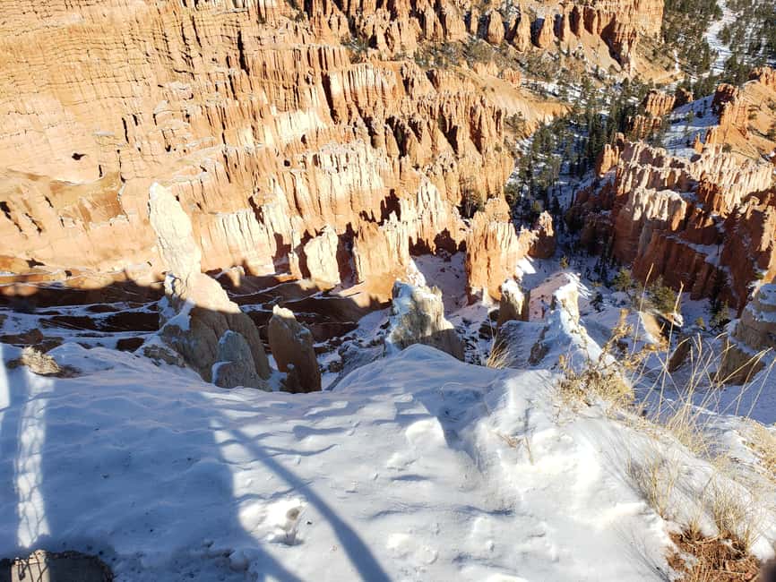 image n.37 of Small Group Tour Zion & Bryce Canyon National from Las Vegas activity in Utah, uploaded by supplier